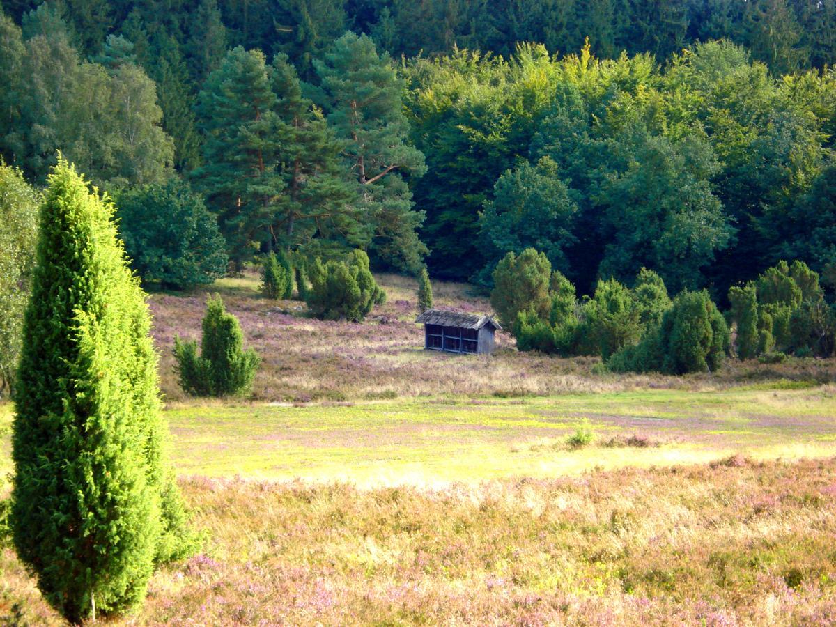 Landgasthaus Zum Naturschutzpark บิสพิงเงน ภายนอก รูปภาพ