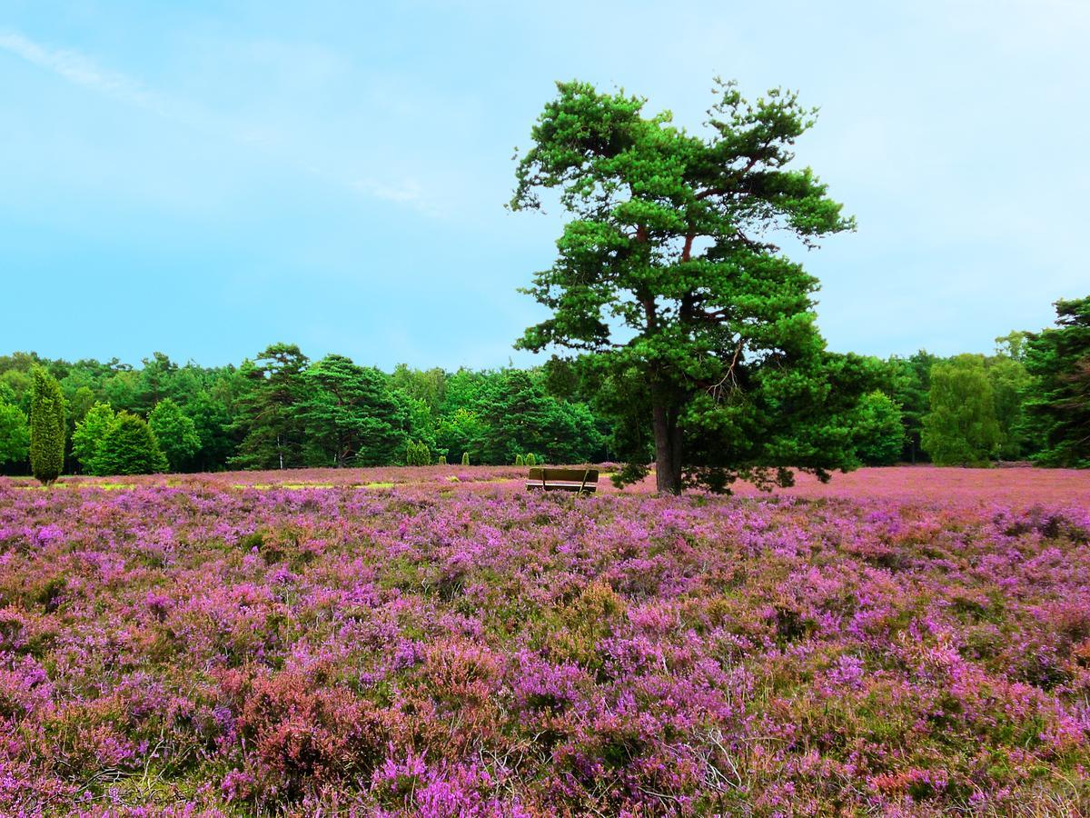 Landgasthaus Zum Naturschutzpark บิสพิงเงน ภายนอก รูปภาพ