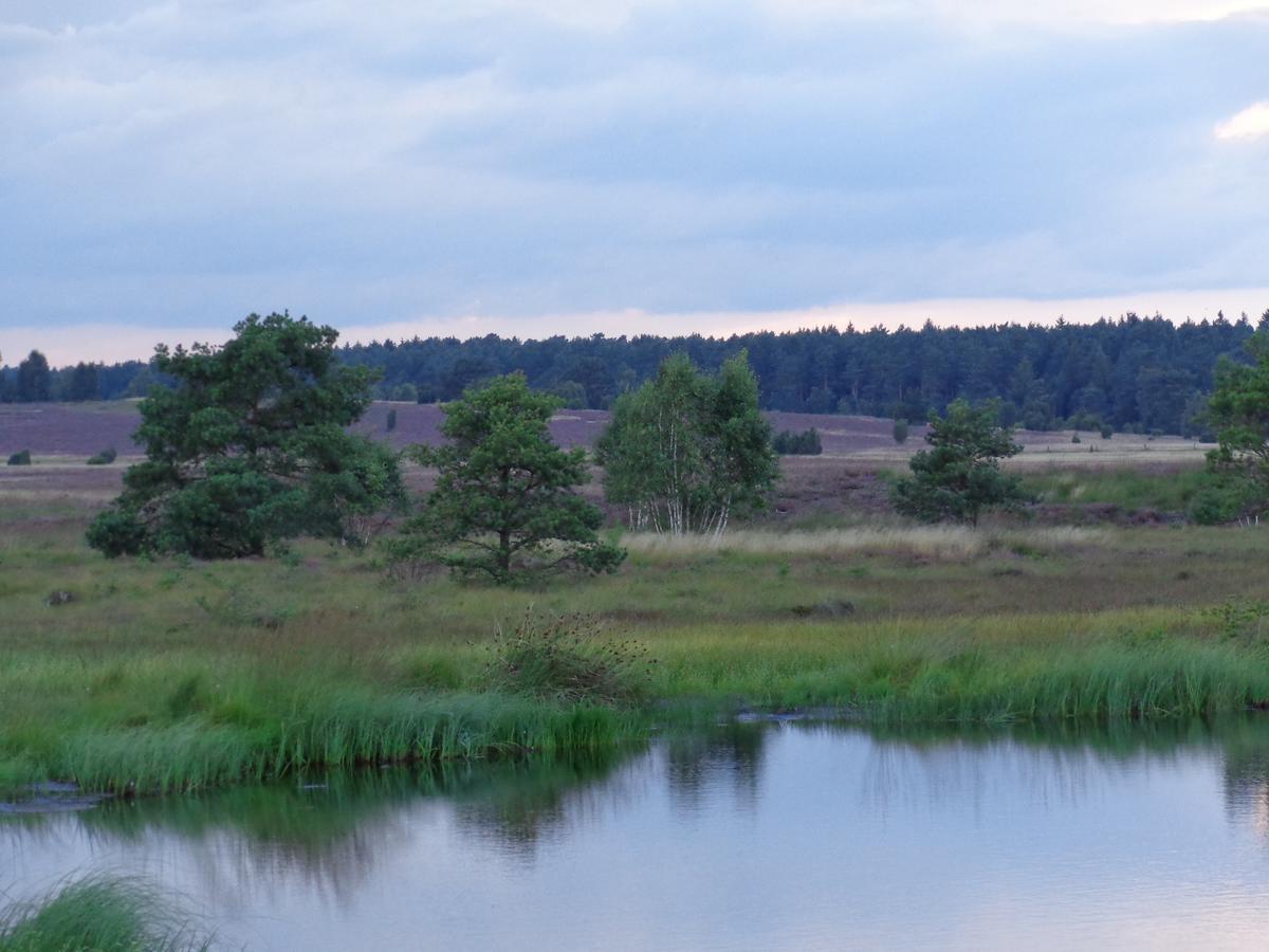 Landgasthaus Zum Naturschutzpark บิสพิงเงน ภายนอก รูปภาพ